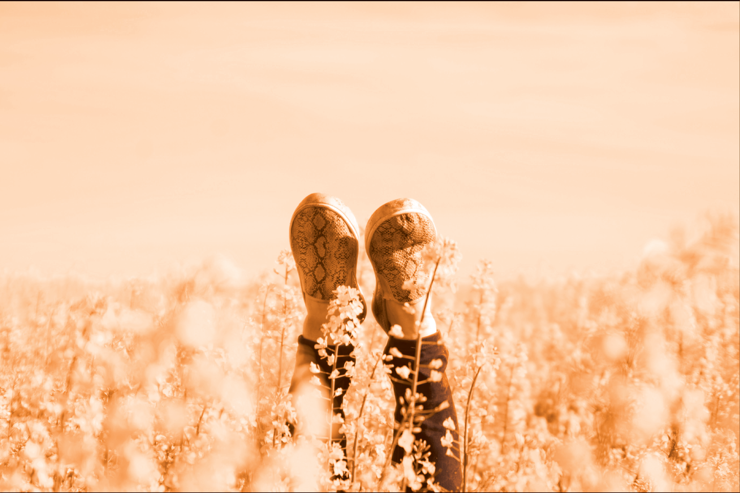 Company Inspirational Package