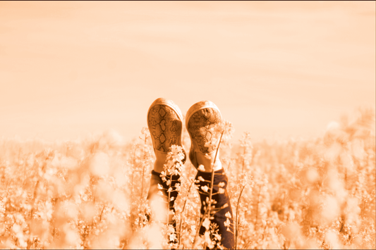 Company Inspirational Package